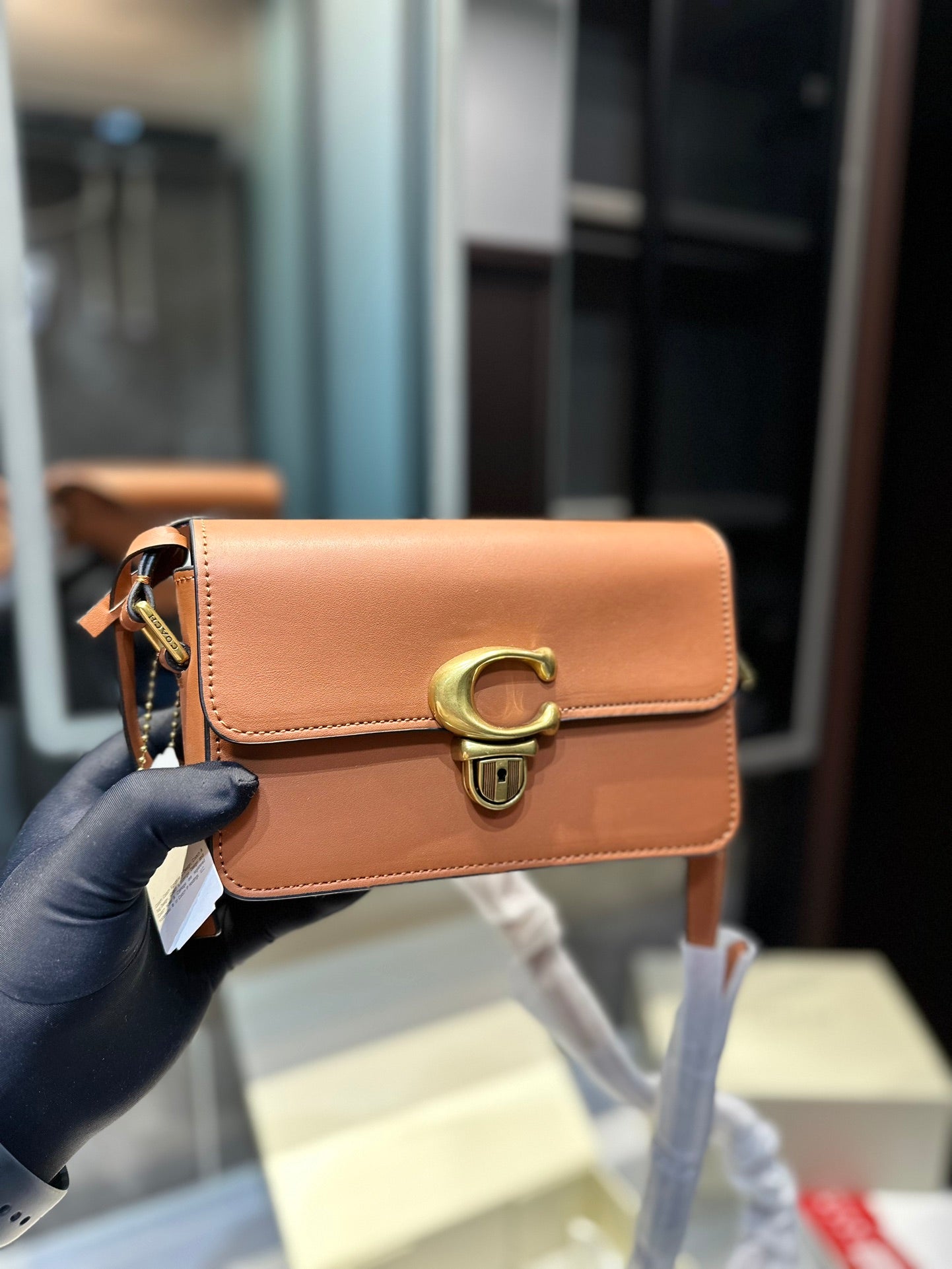 Co-BAG224-3