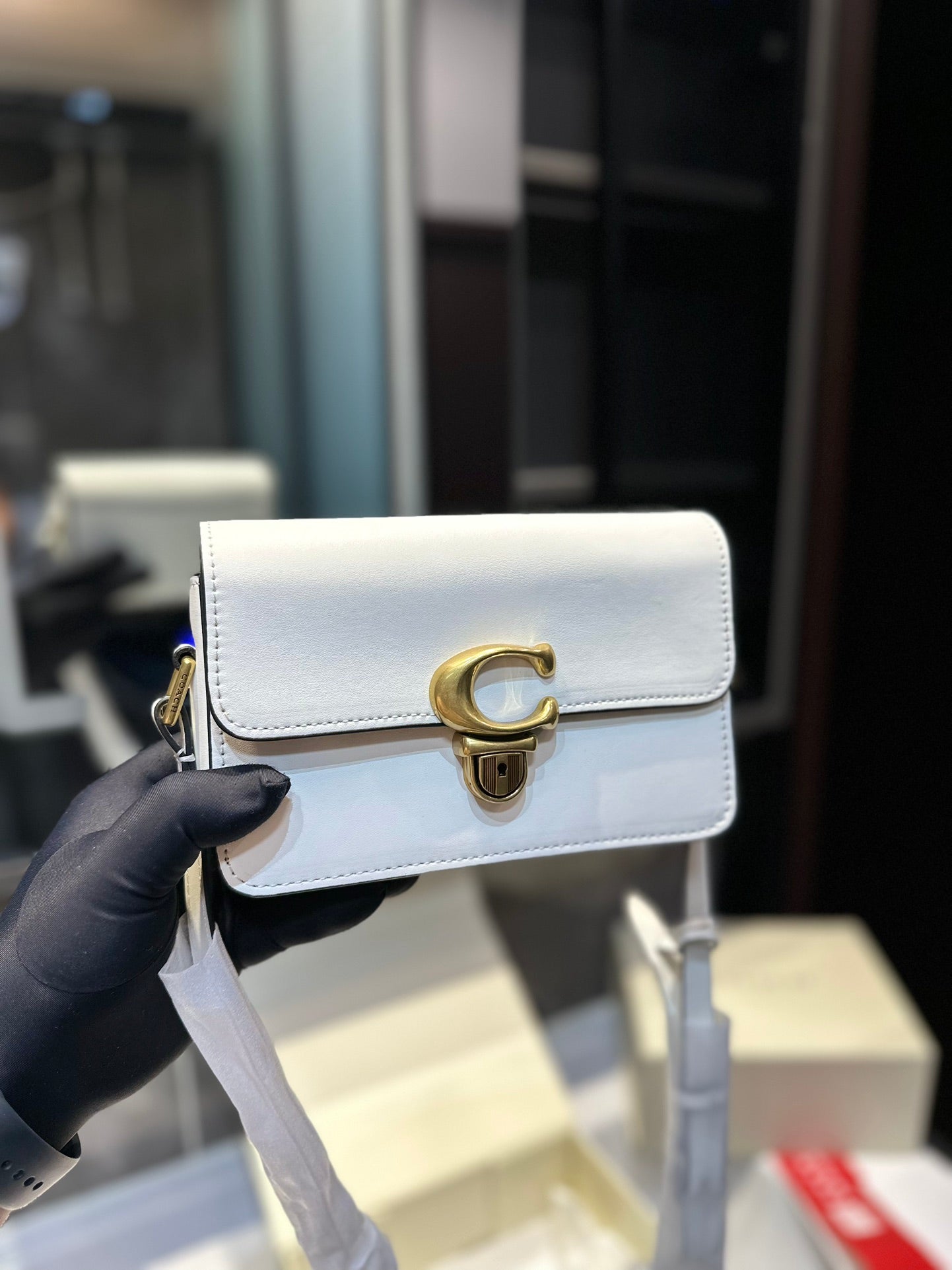 Co-BAG224-3