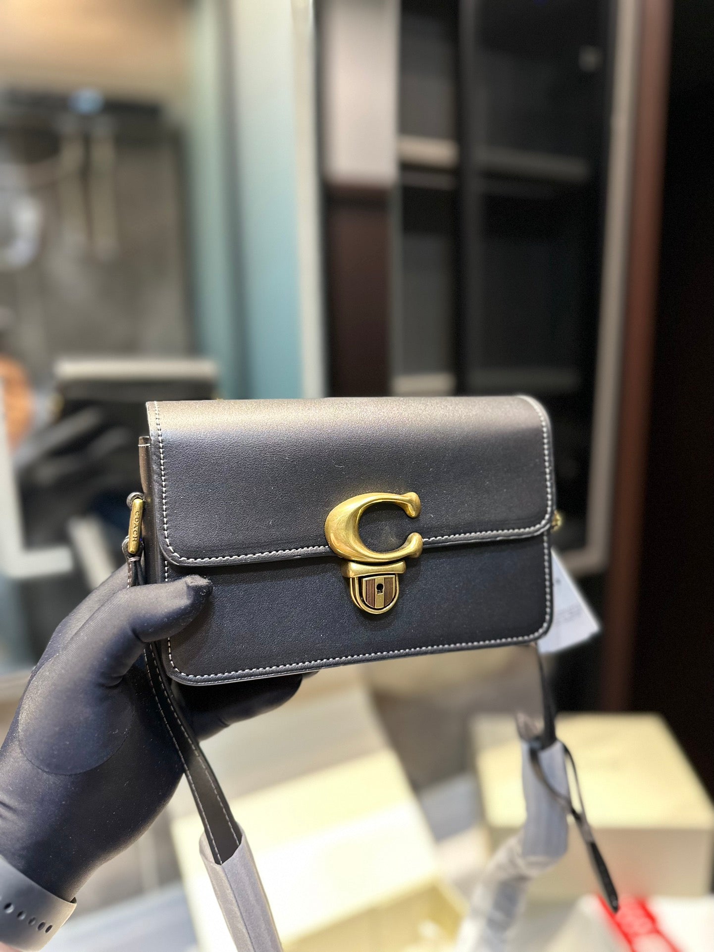 Co-BAG224-3