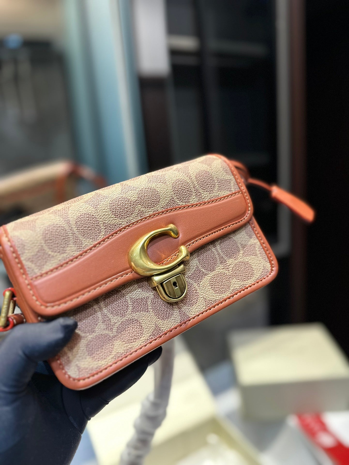 Co-BAG224-3