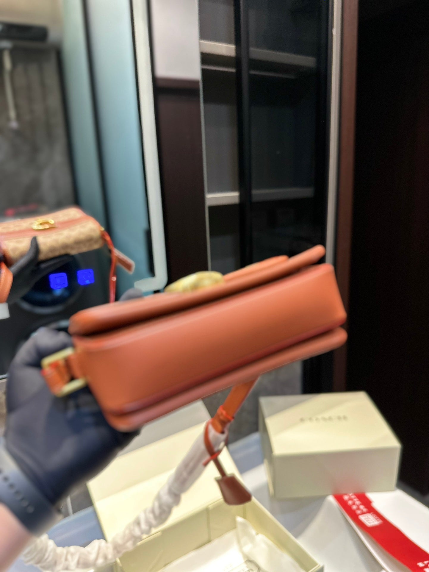 Co-BAG224-3