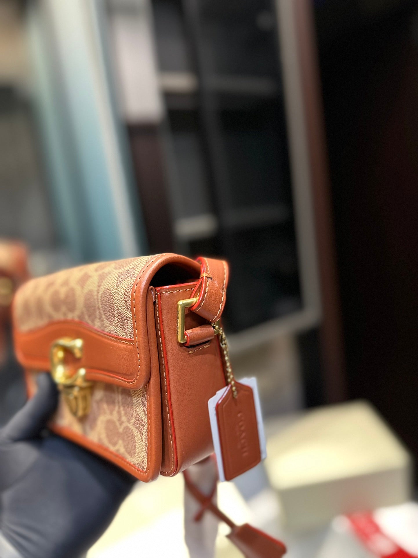 Co-BAG224-3