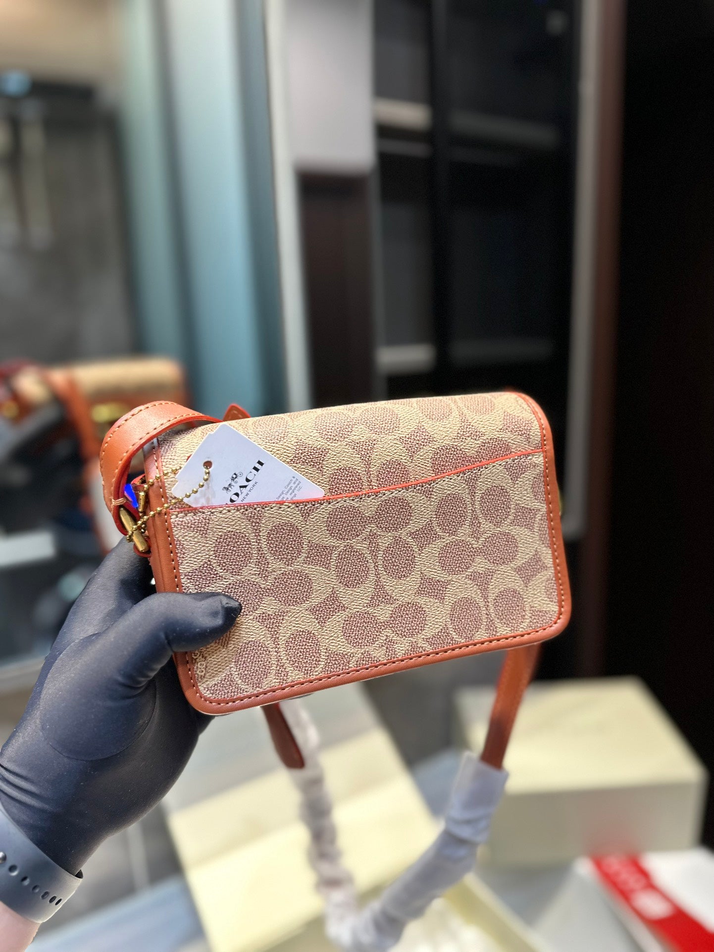 Co-BAG224-3