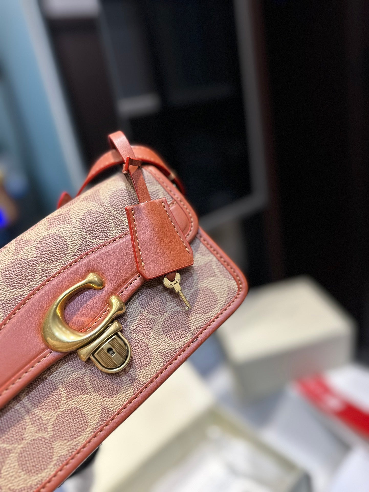 Co-BAG224-3
