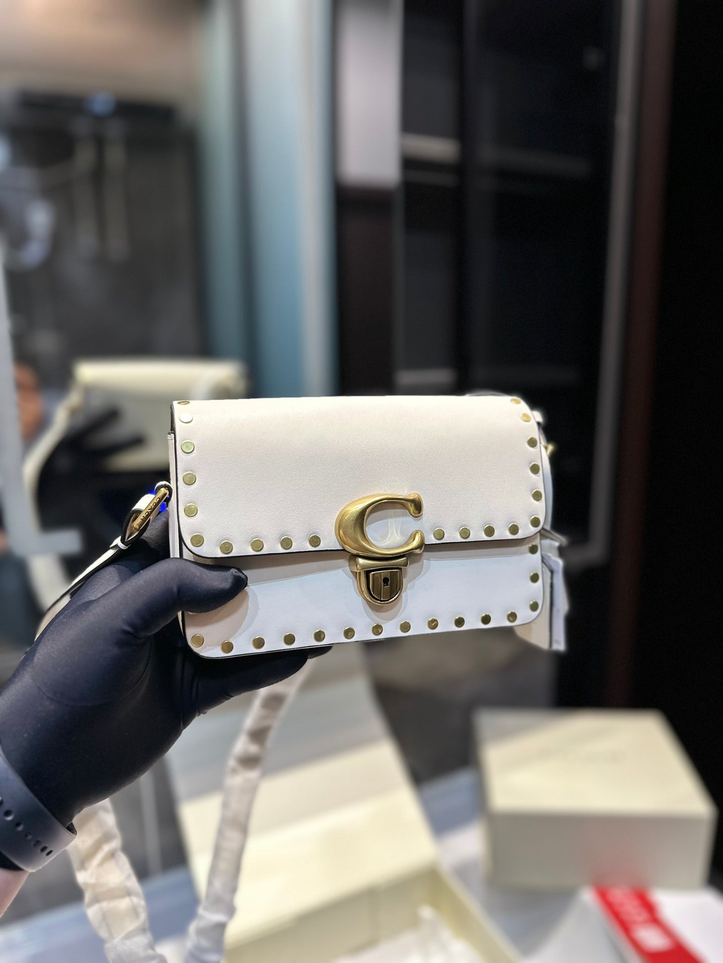 Co-BAG224-5