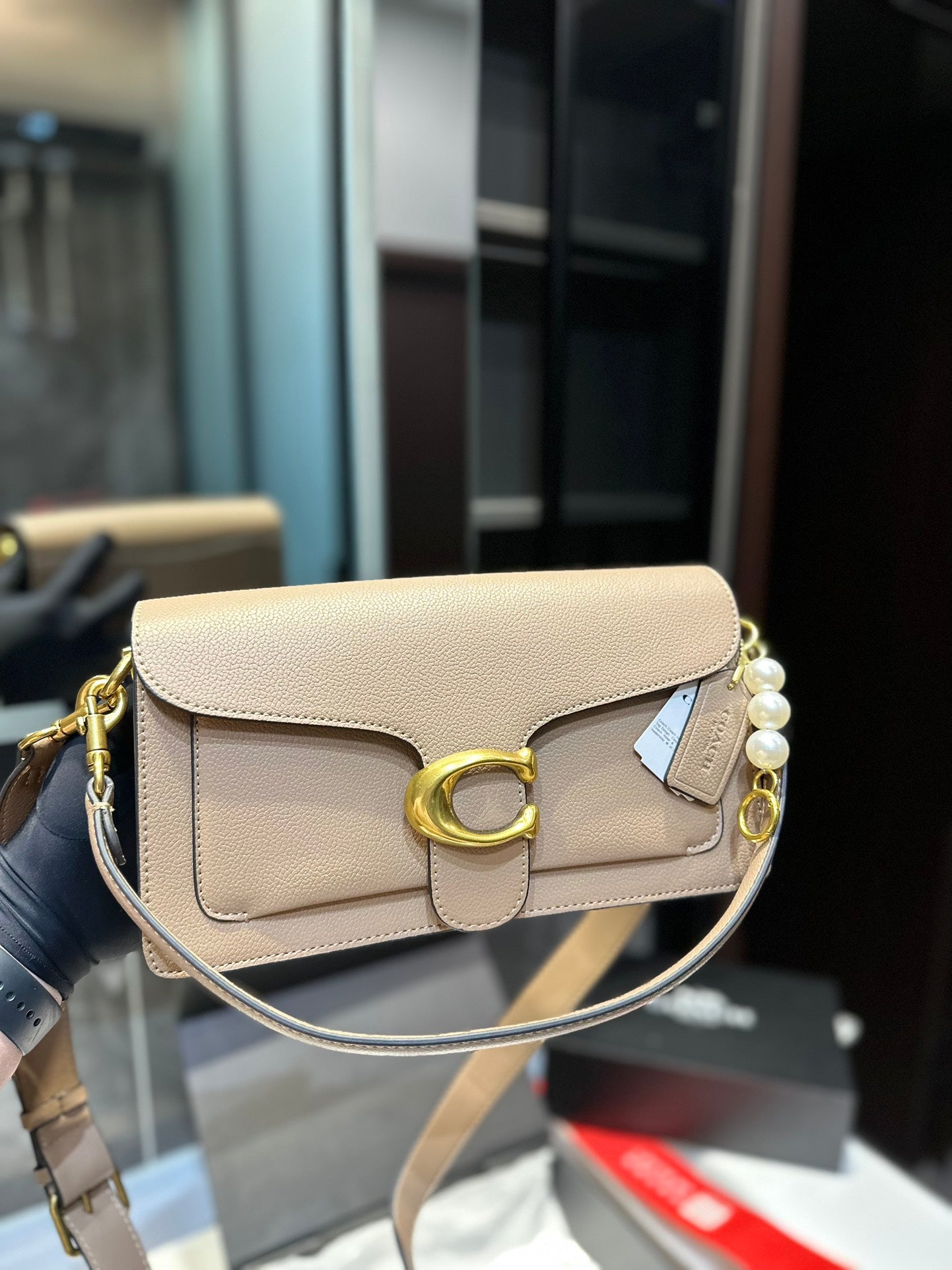 Co-BAG224-6