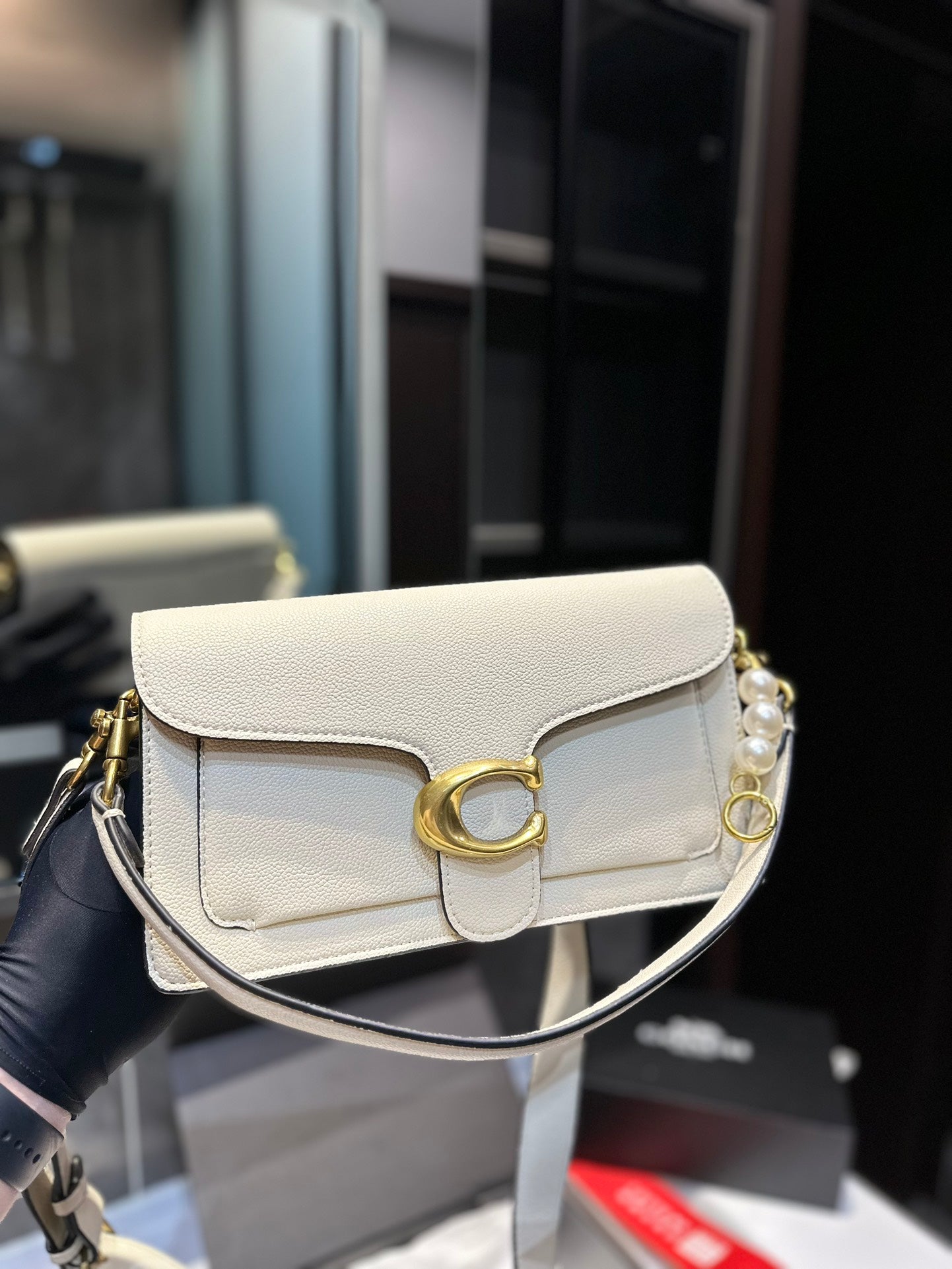 Co-BAG224-6