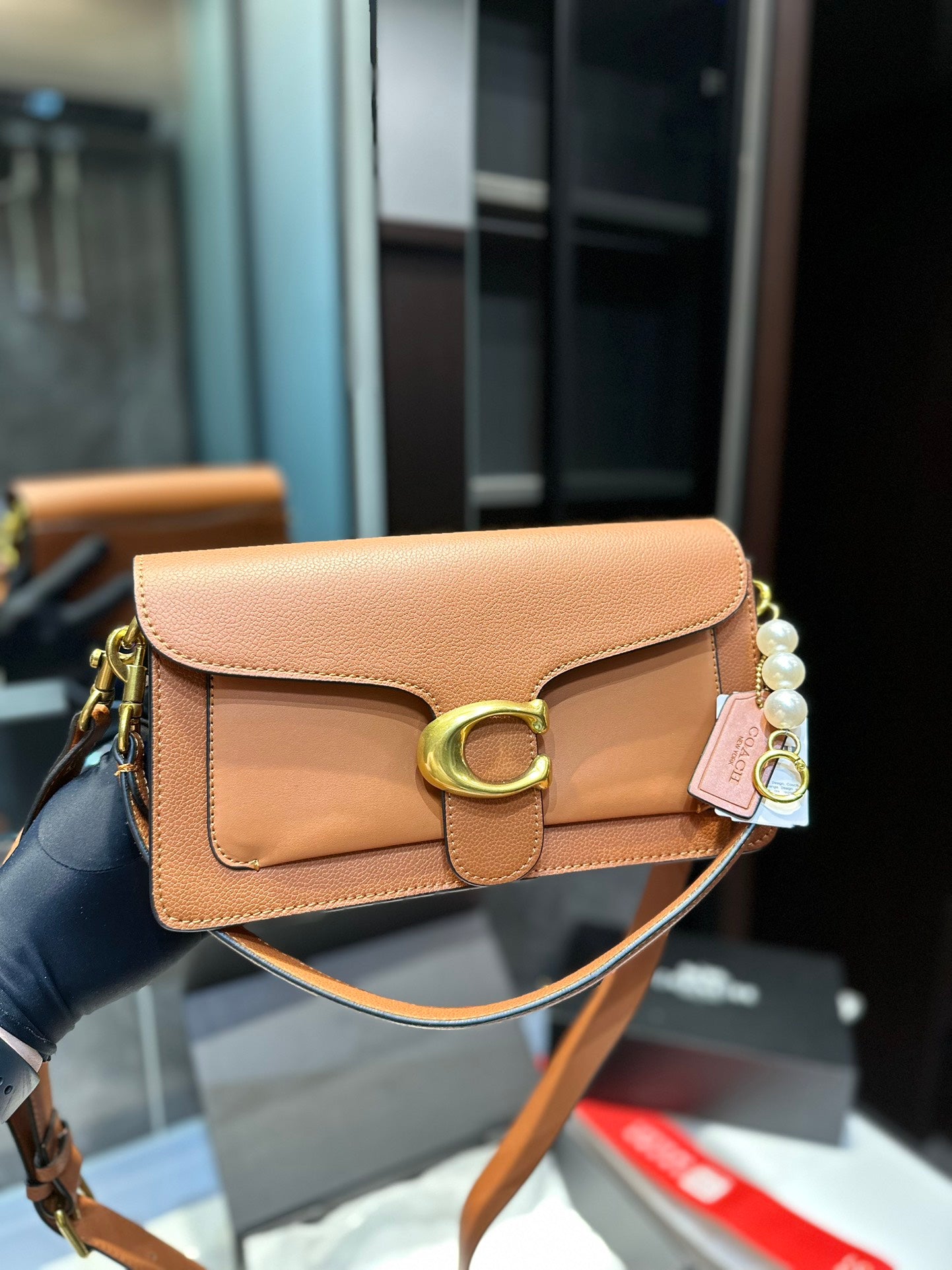 Co-BAG224-6
