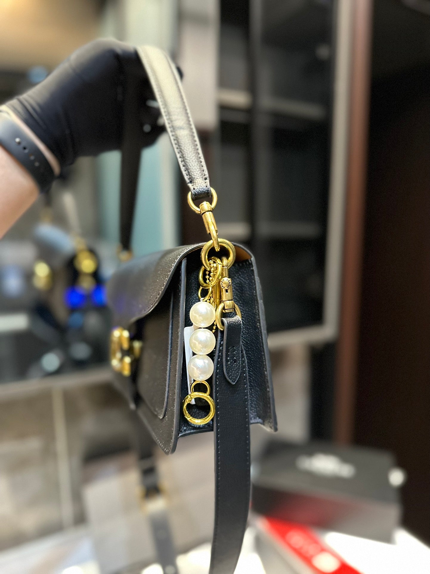 Co-BAG224-6