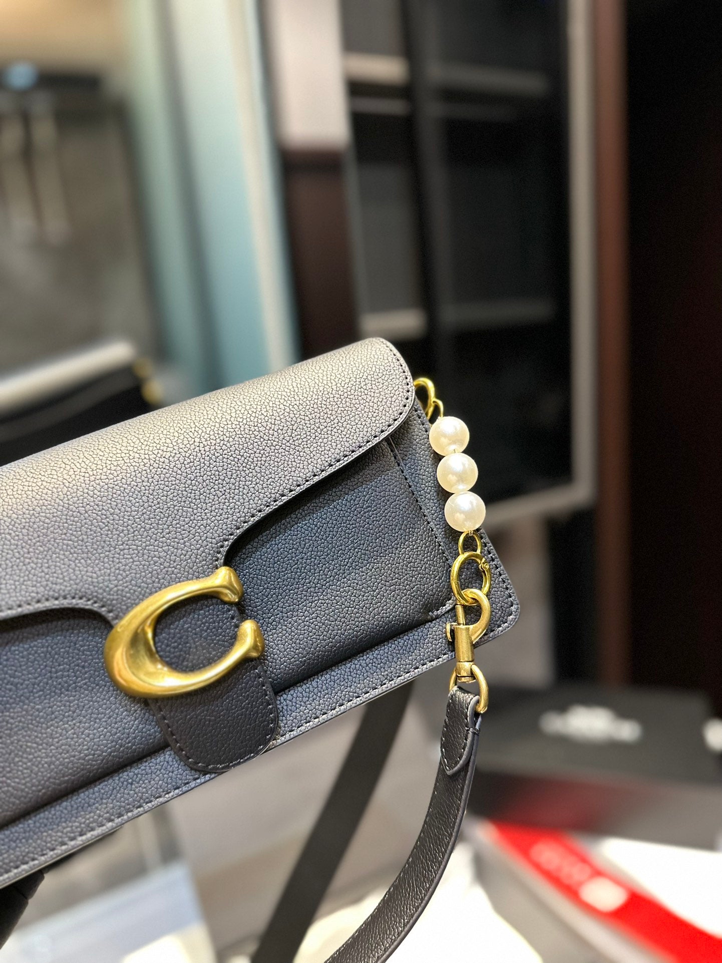 Co-BAG224-6