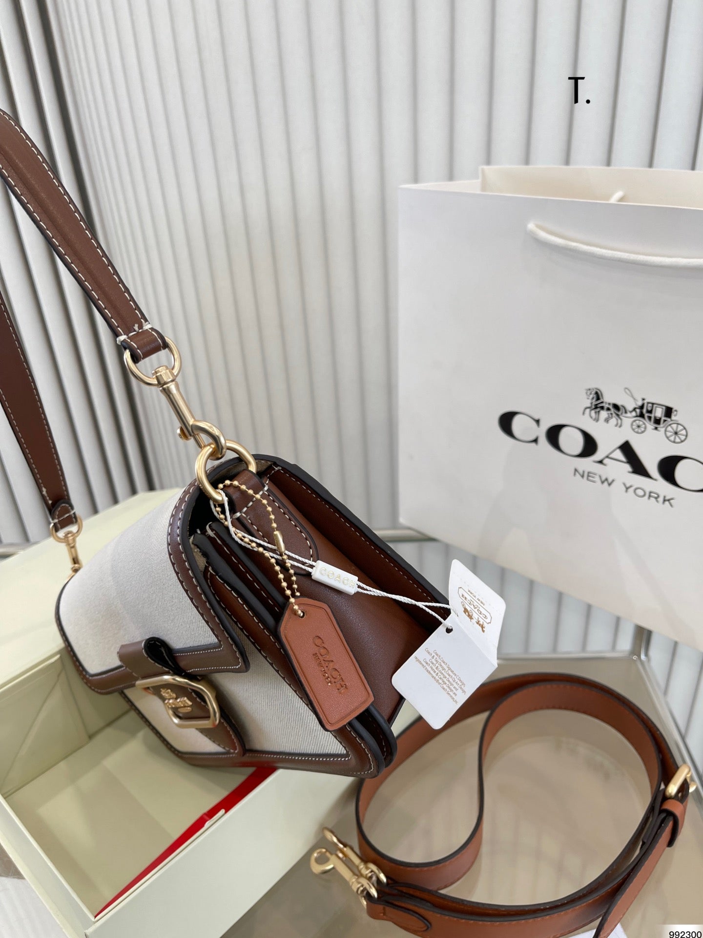 Co-BAG224-6