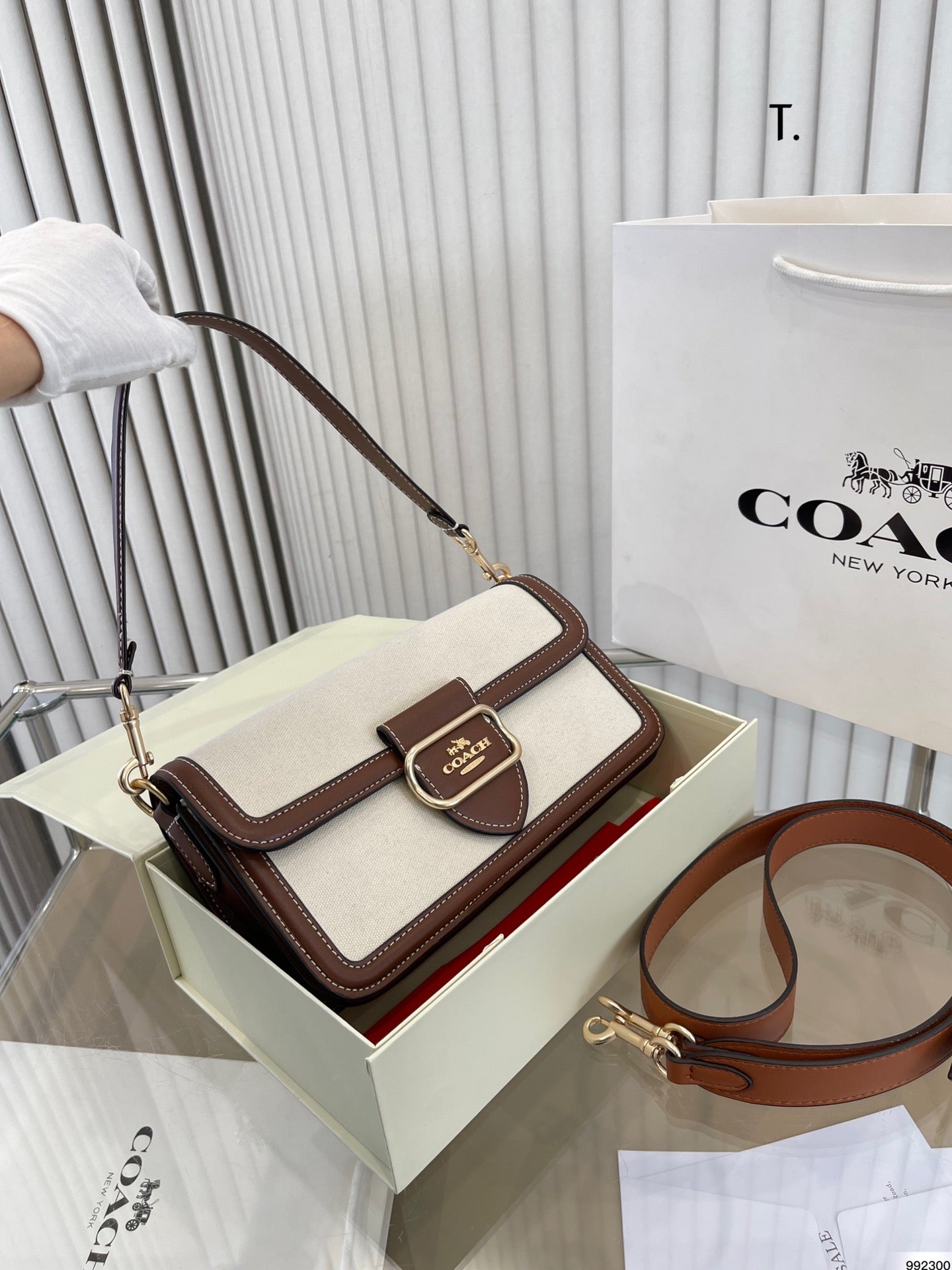 Co-BAG224-6