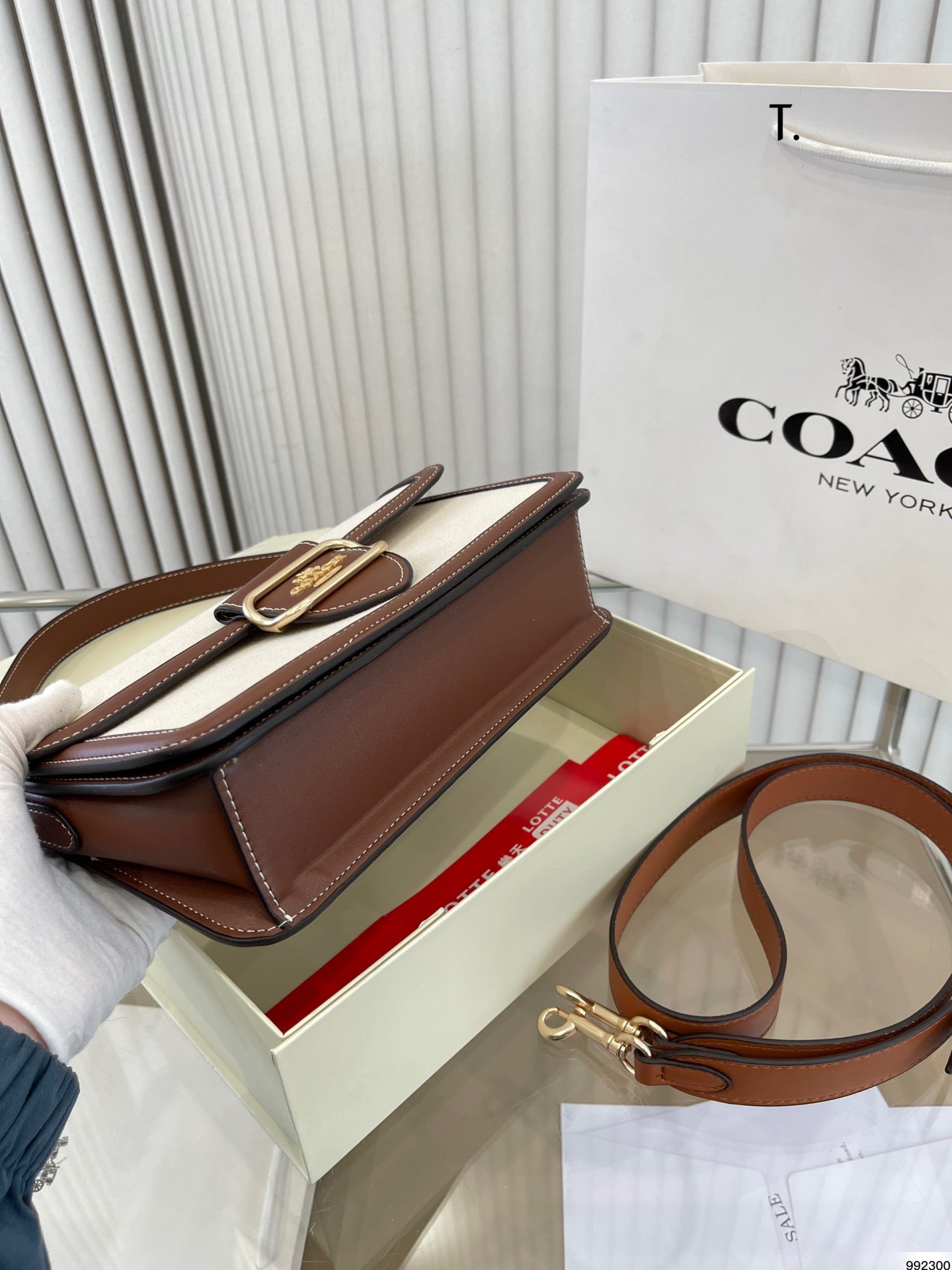 Co-BAG224-6