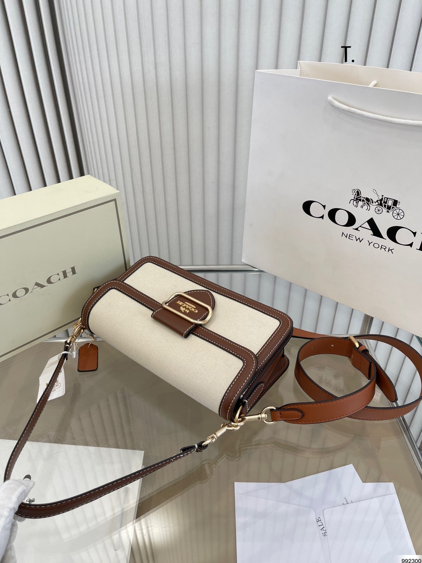 Co-BAG224-6