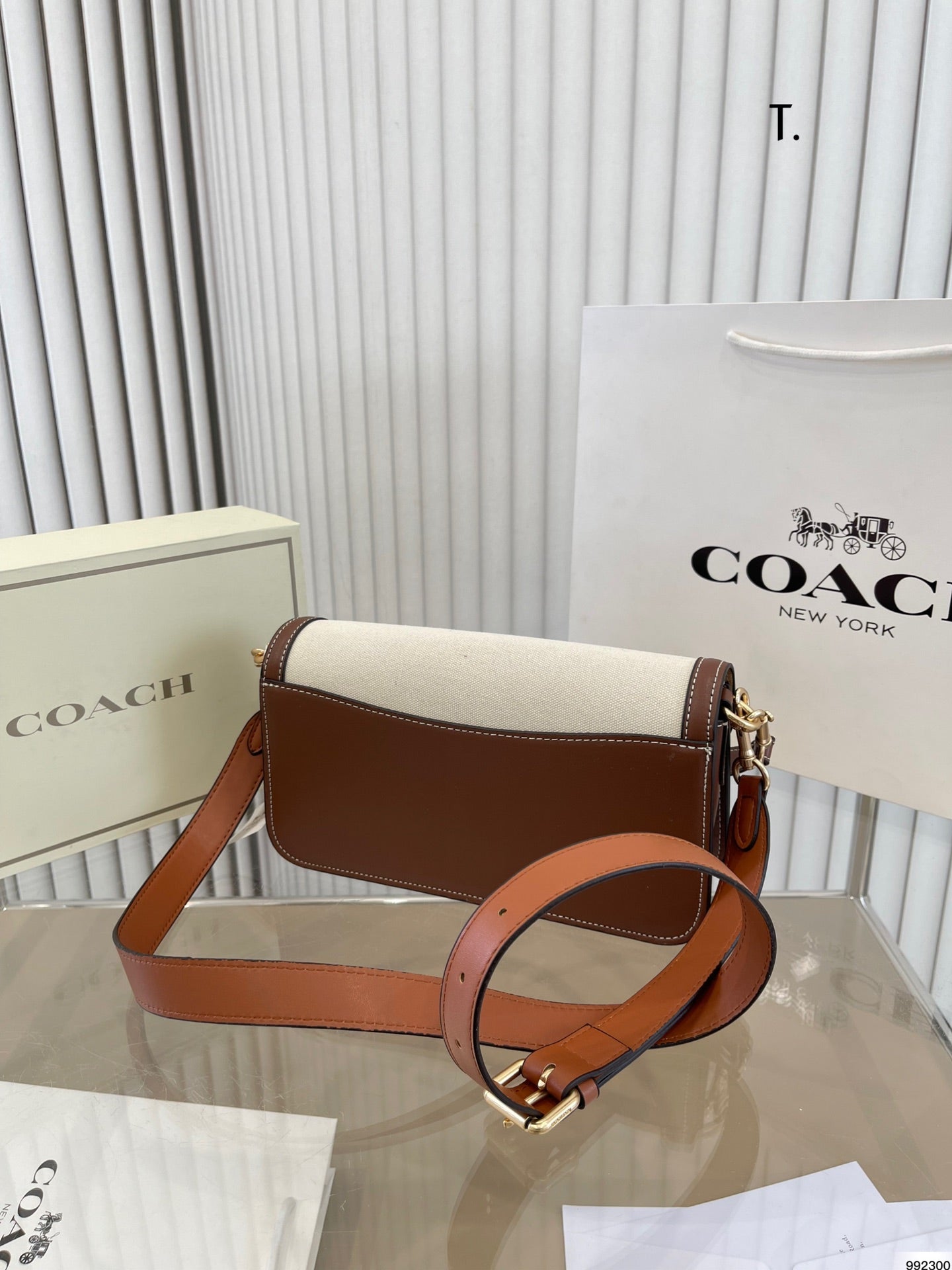 Co-BAG224-6