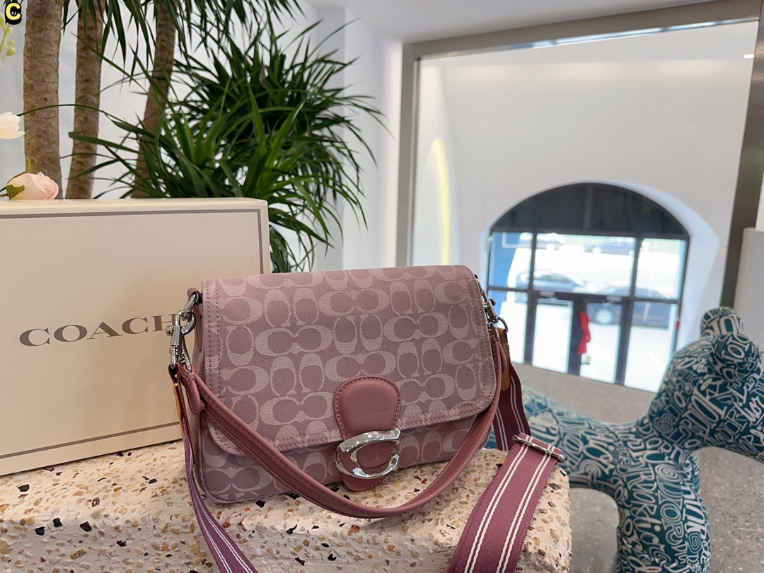 Co-BAG230