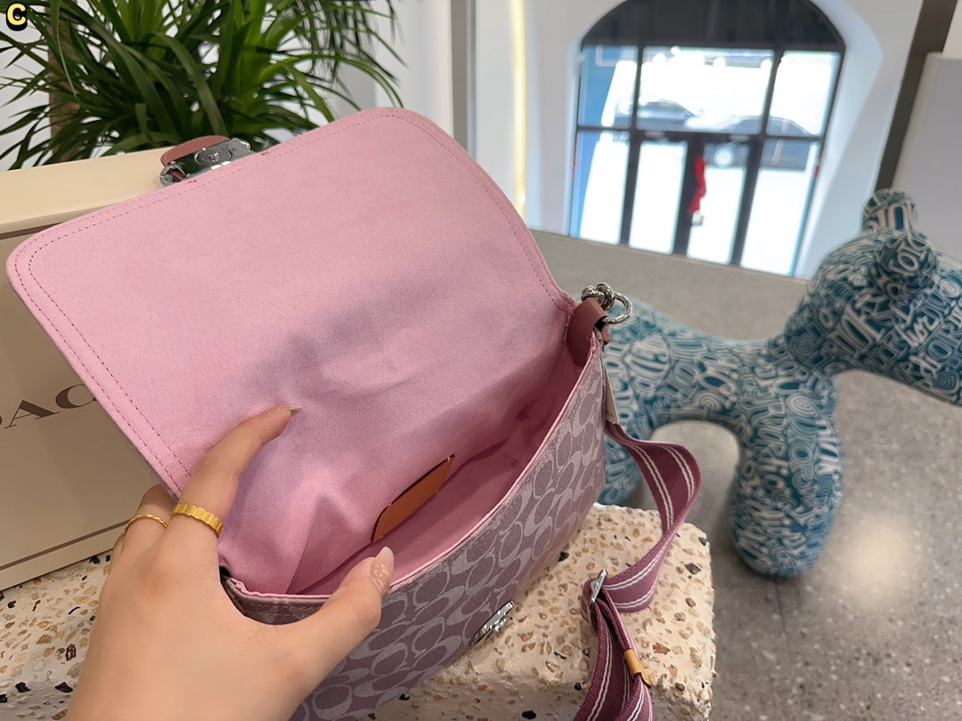 Co-BAG230