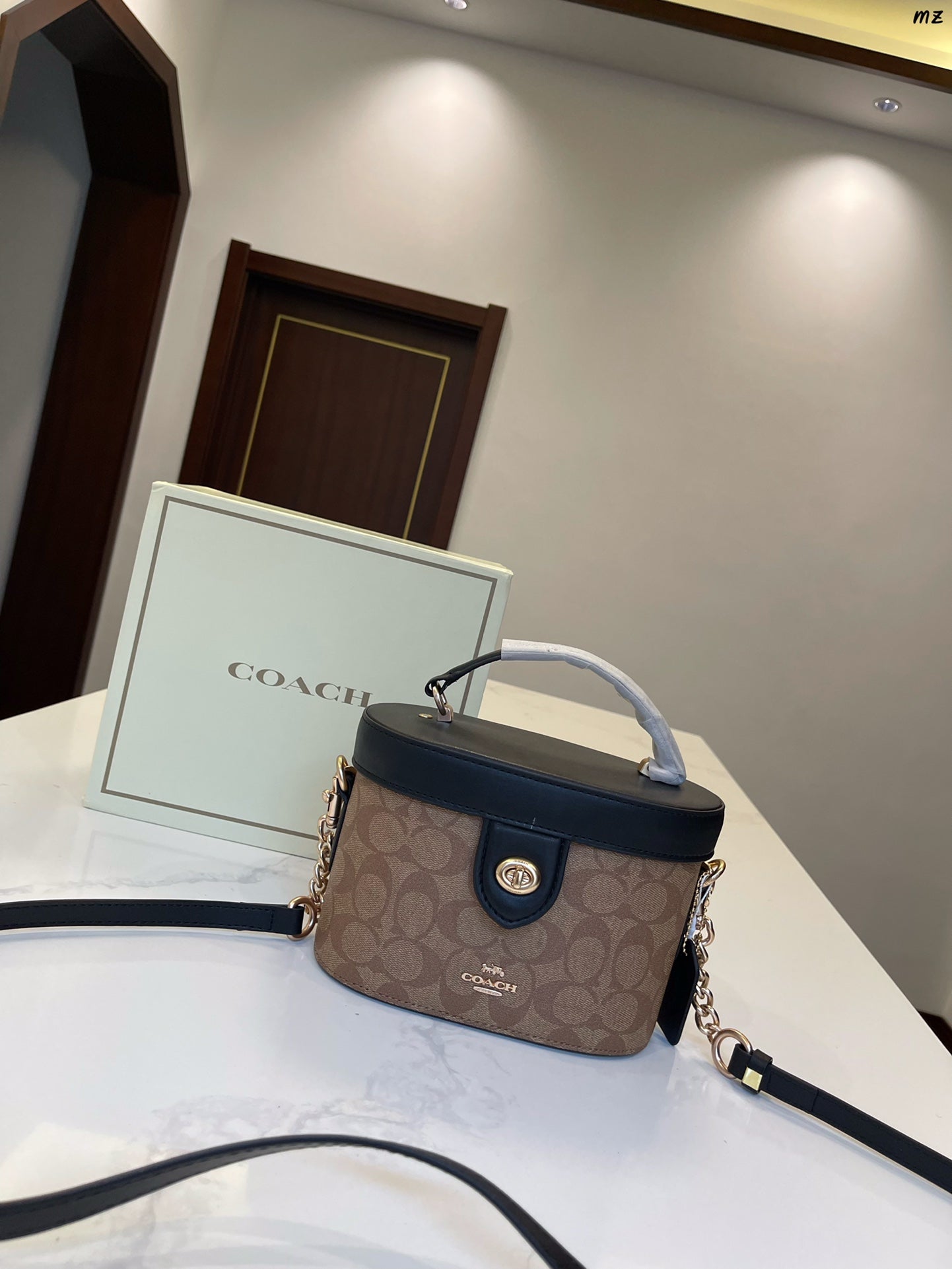 Co-BAG233