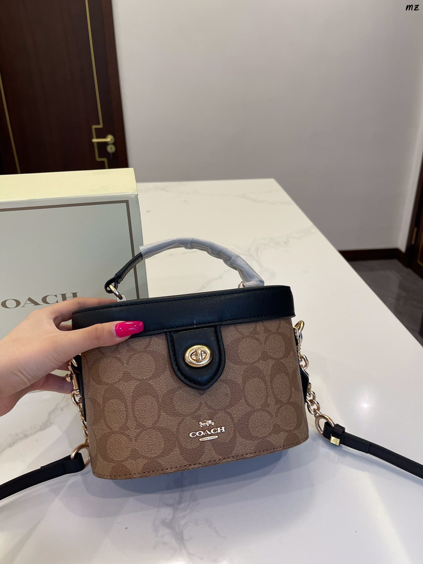Co-BAG233