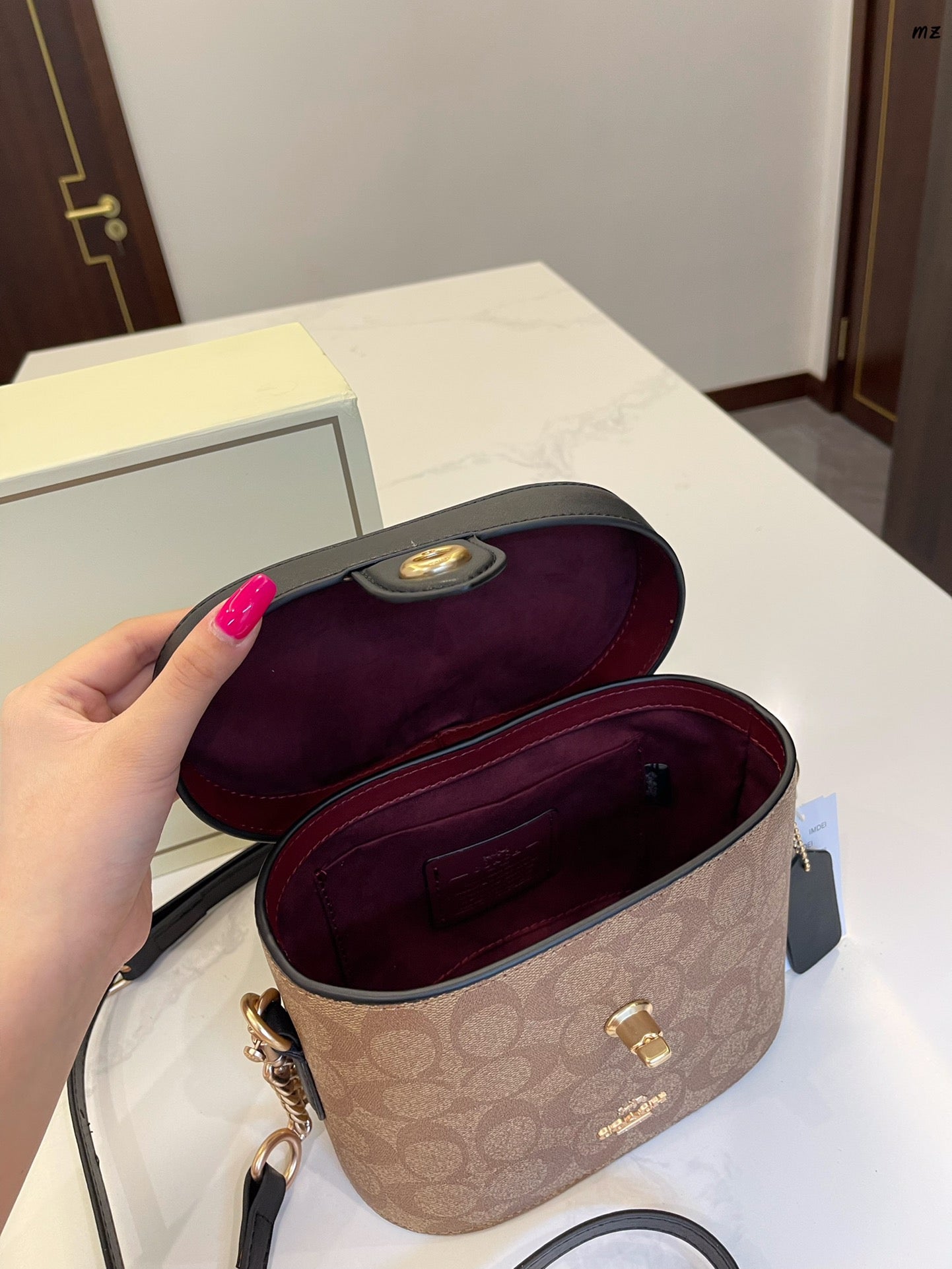 Co-BAG233