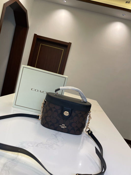 Co-BAG233