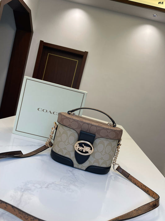 Co-BAG233-2