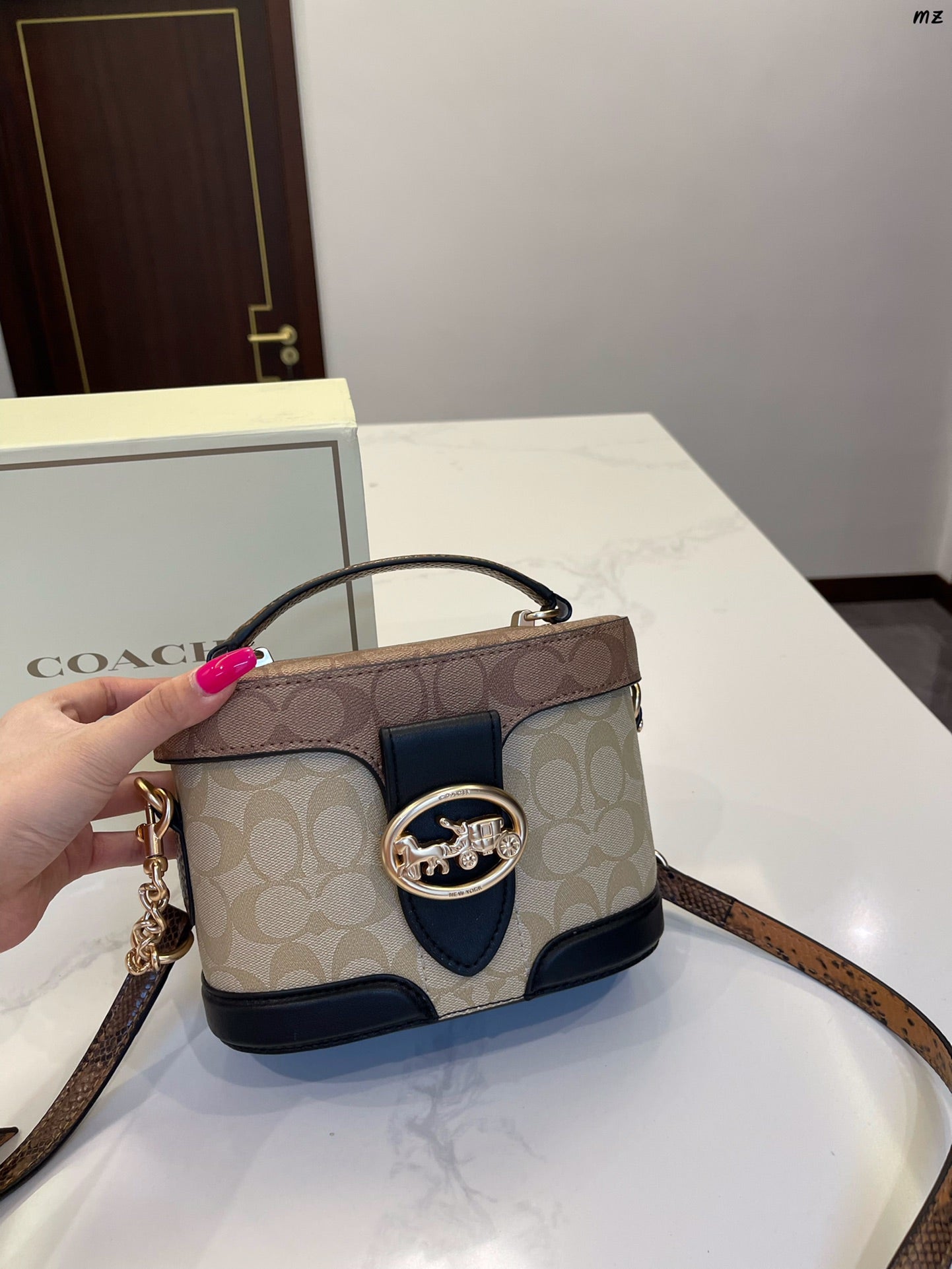 Co-BAG233-2