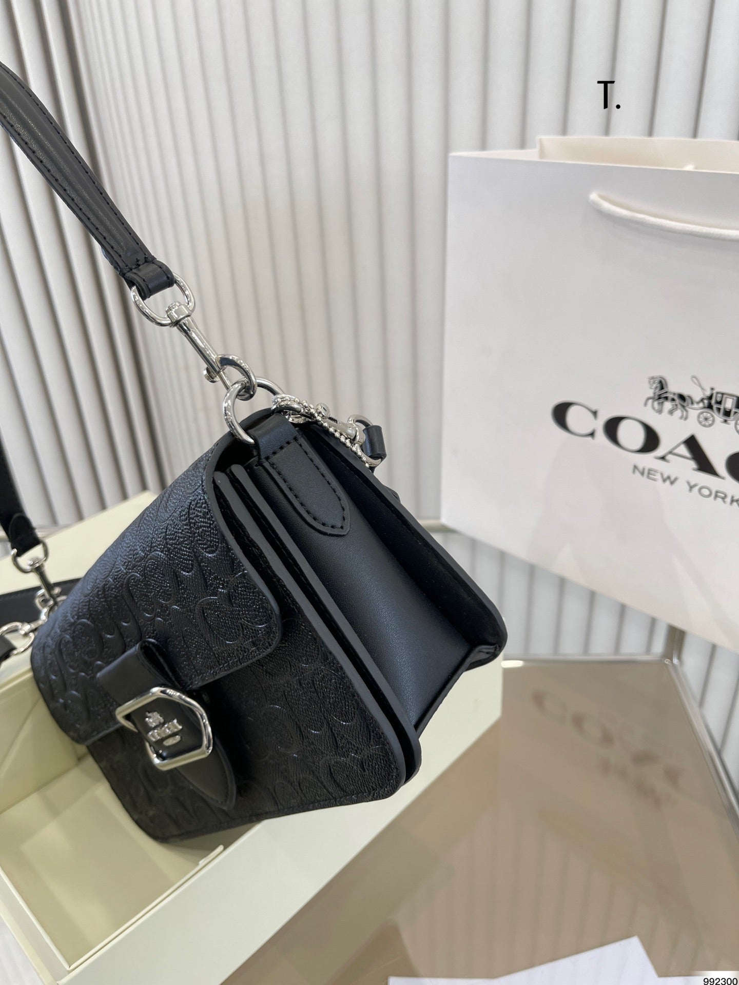 Co-BAG235