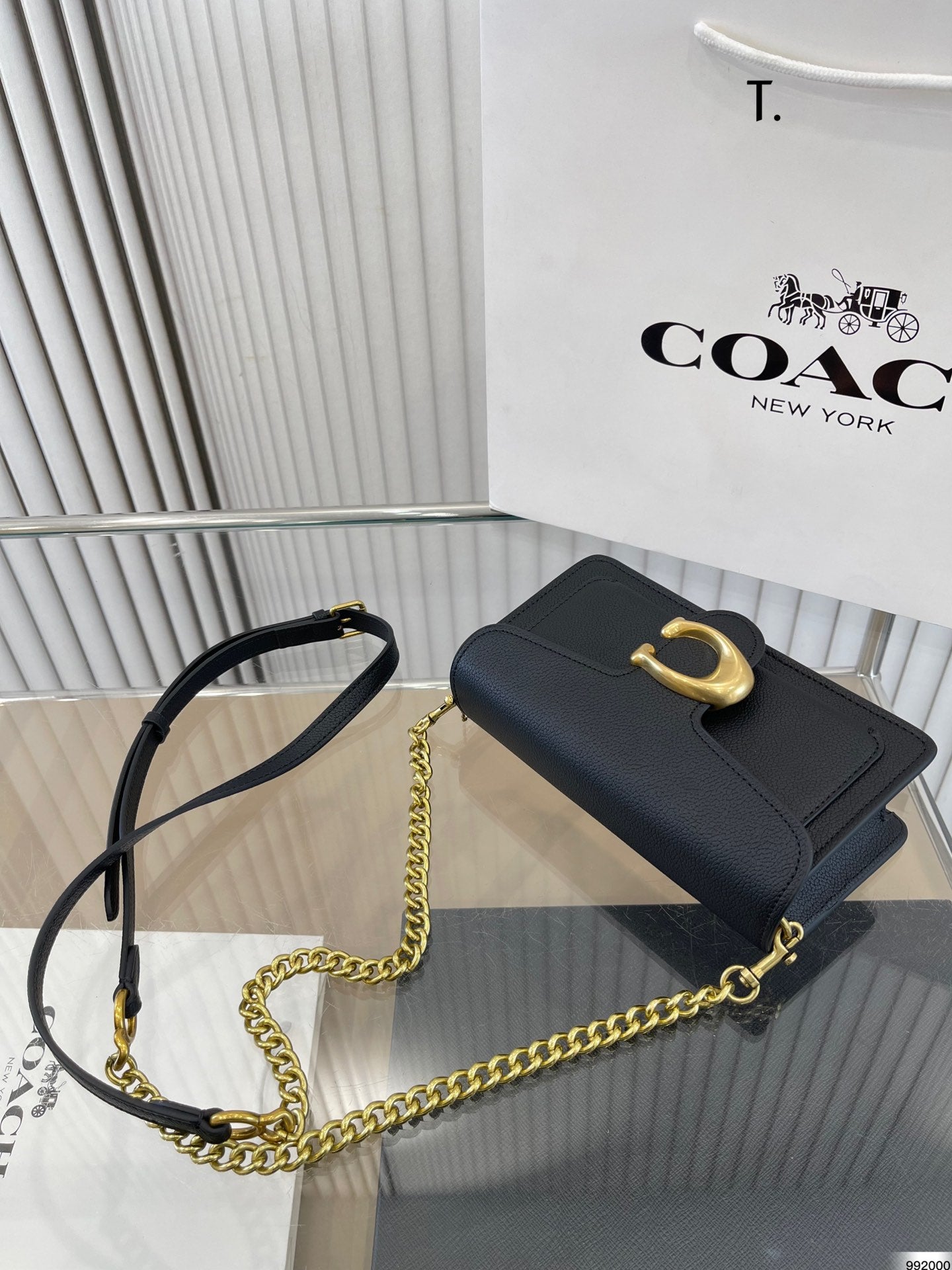 Co-BAG236-2
