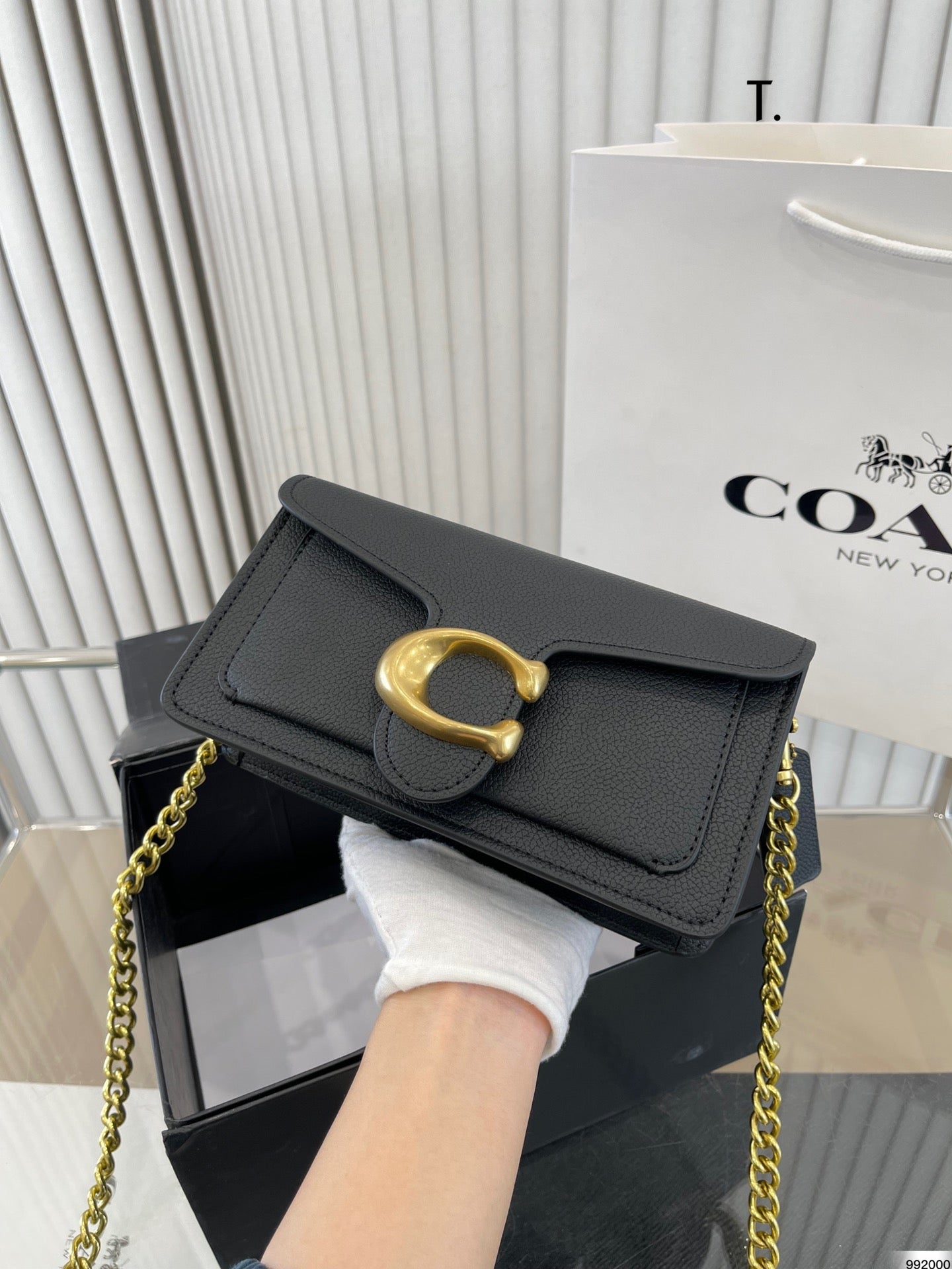 Co-BAG236-2