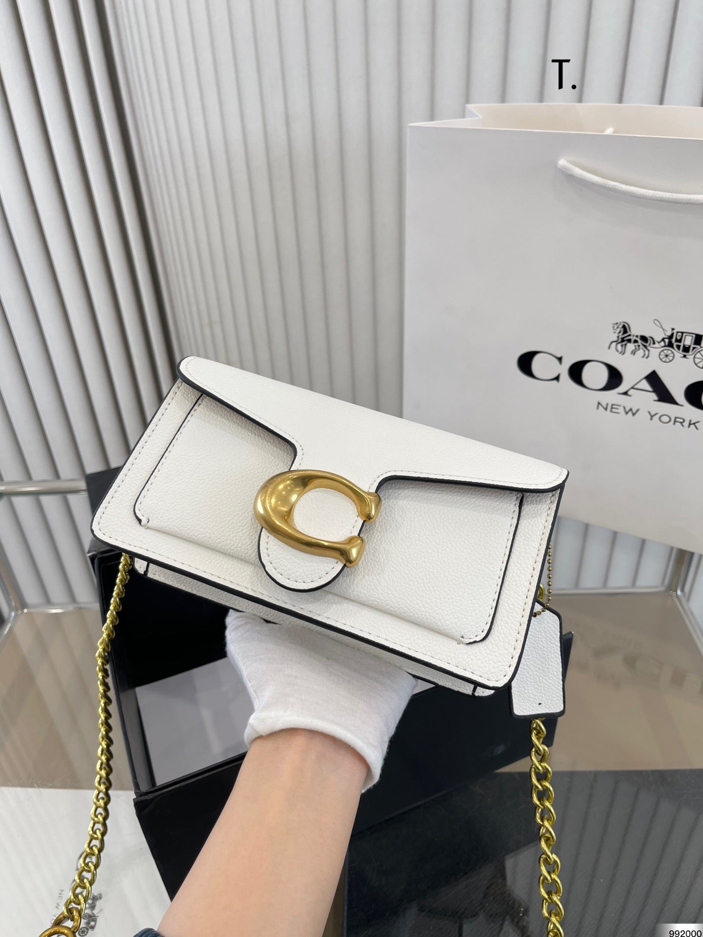 Co-BAG236-2