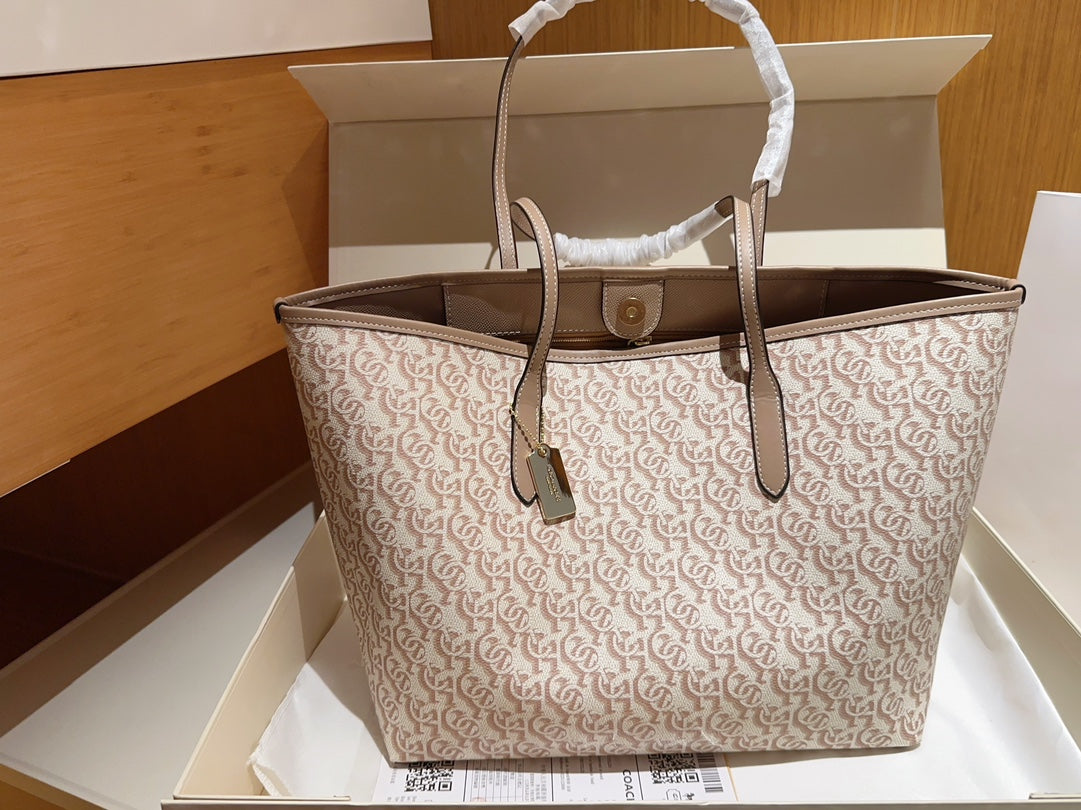 Co-BAG244