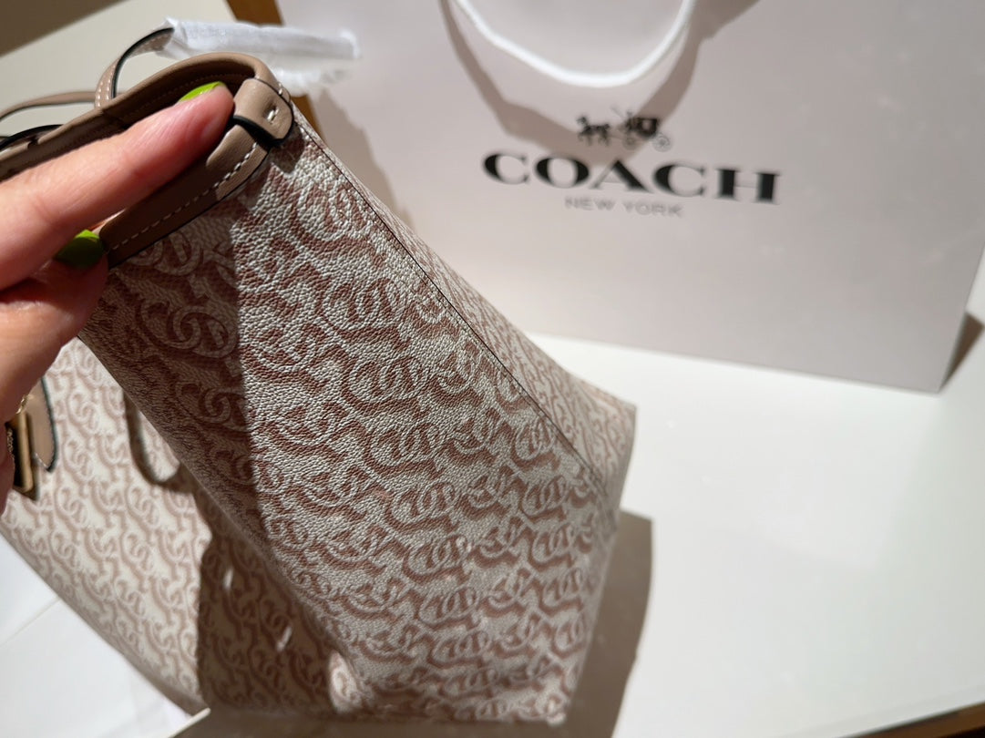 Co-BAG244