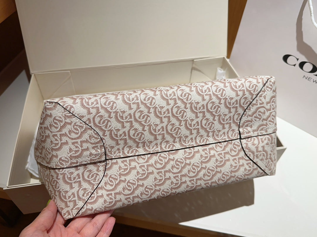 Co-BAG244