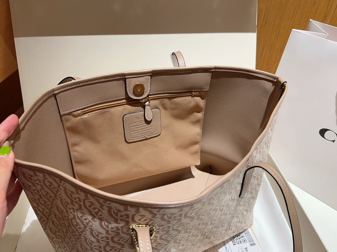 Co-BAG244