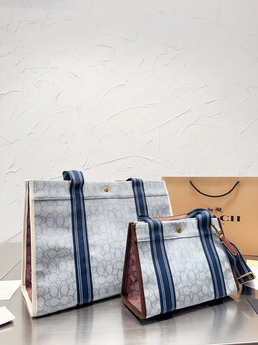 Co-BAG252