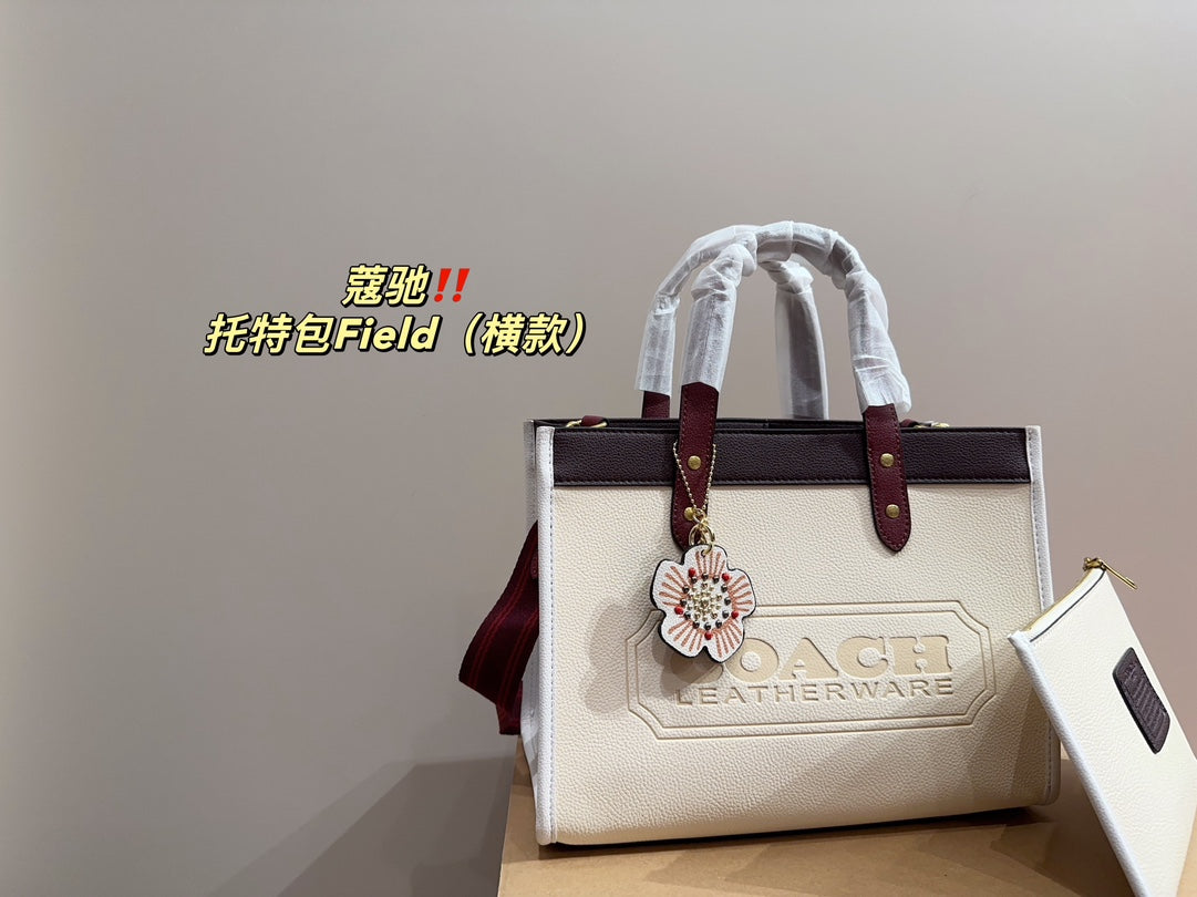 Co-BAG253