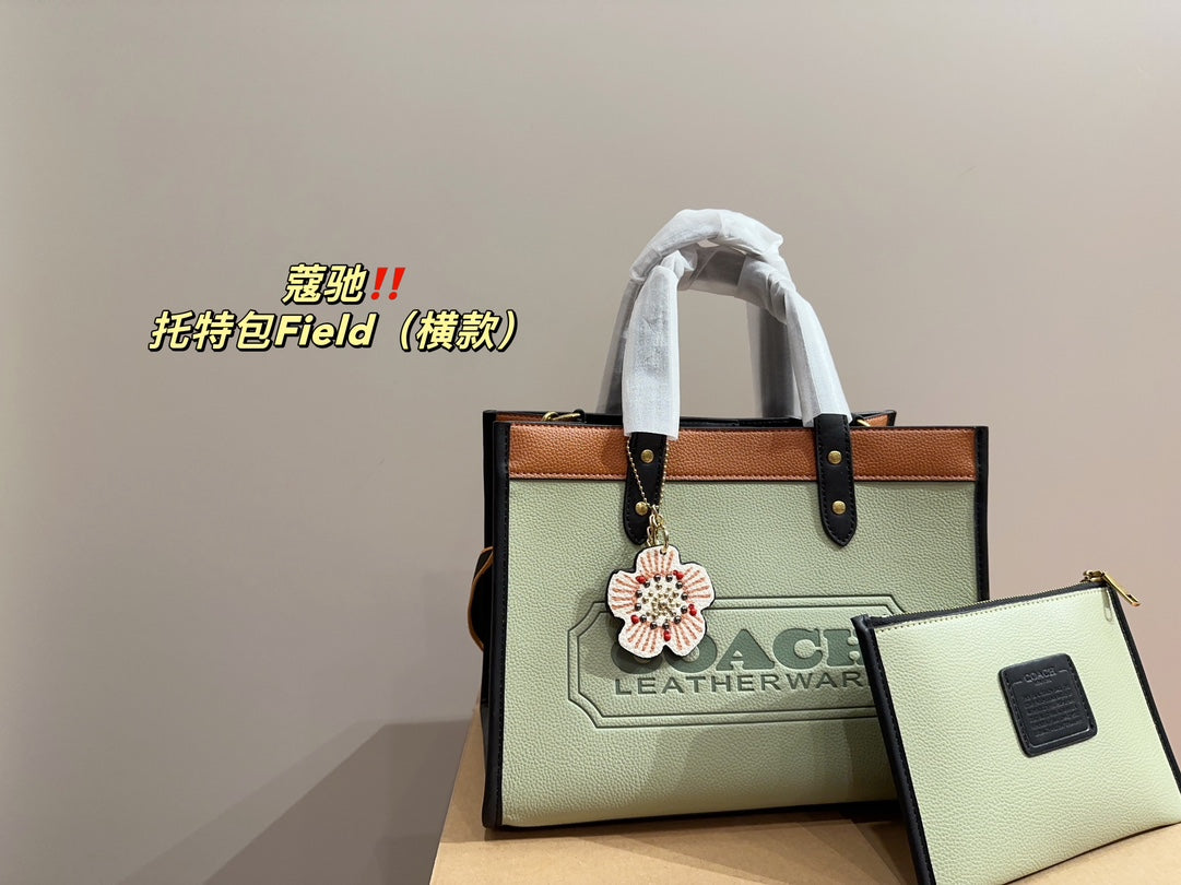 Co-BAG253