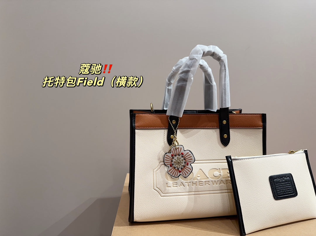 Co-BAG253