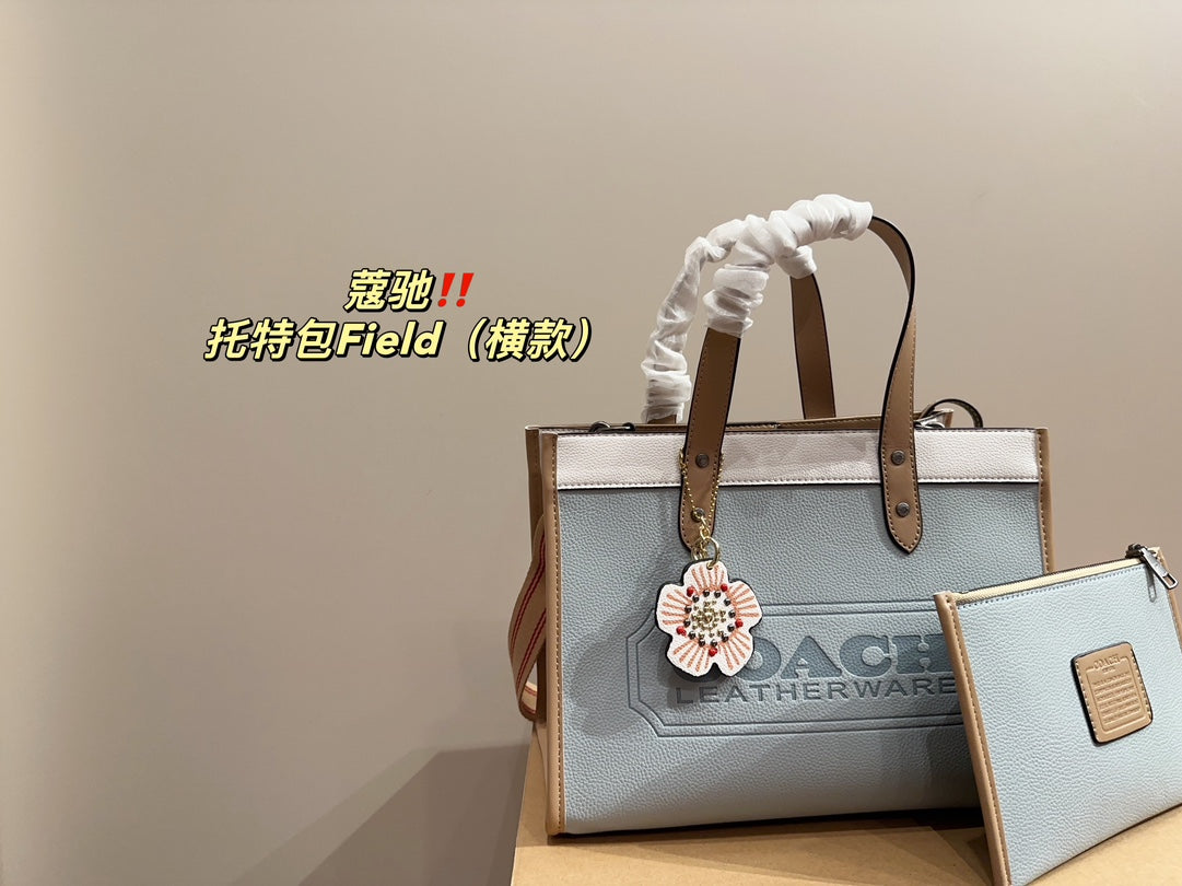 Co-BAG253
