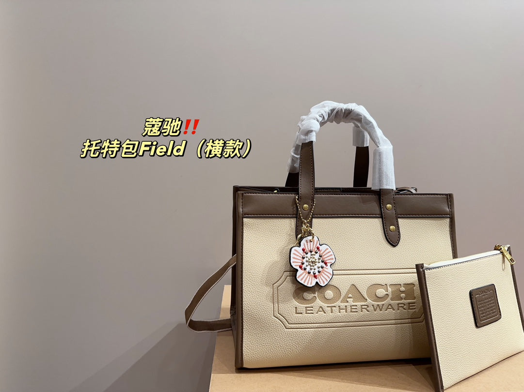 Co-BAG253