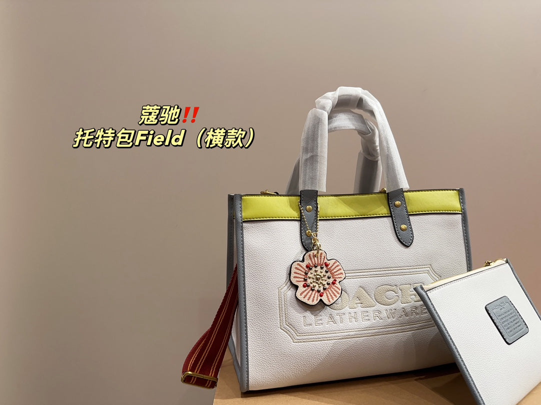 Co-BAG253