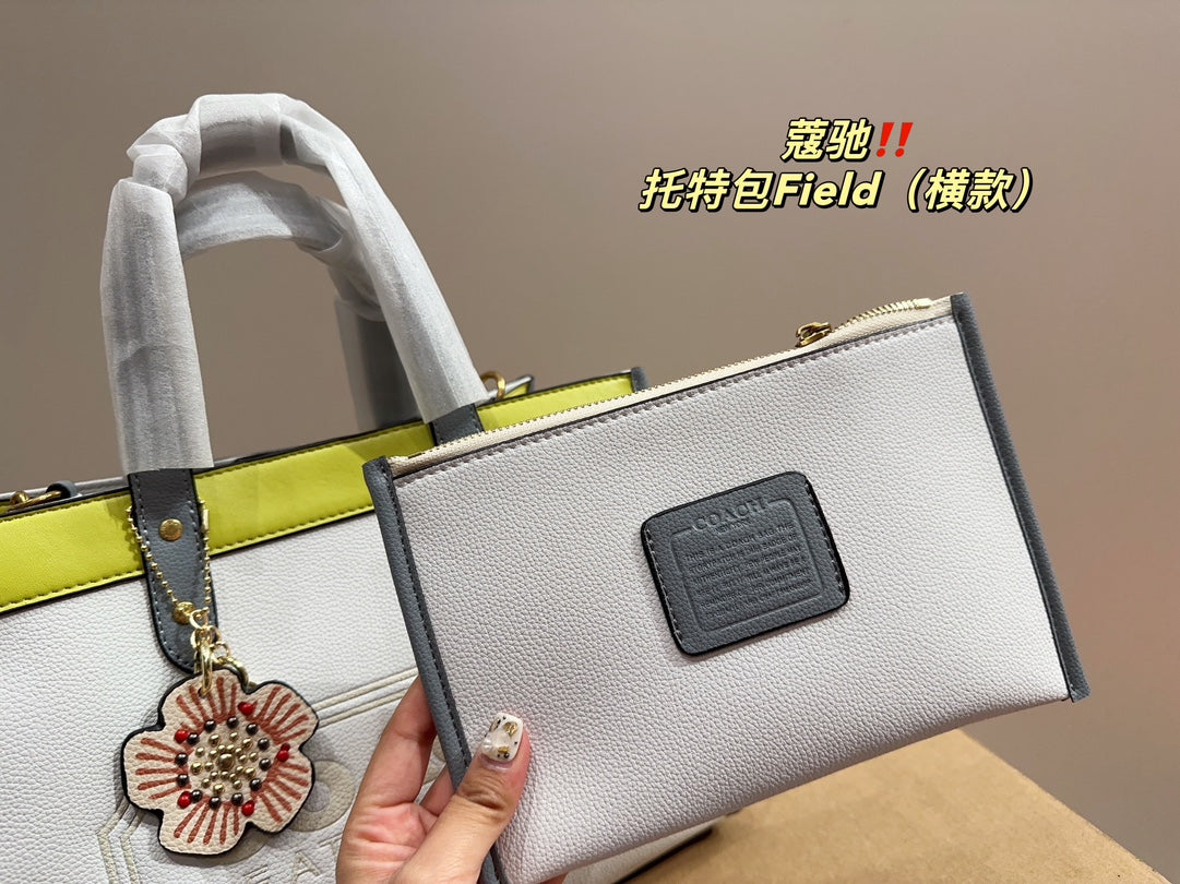 Co-BAG253
