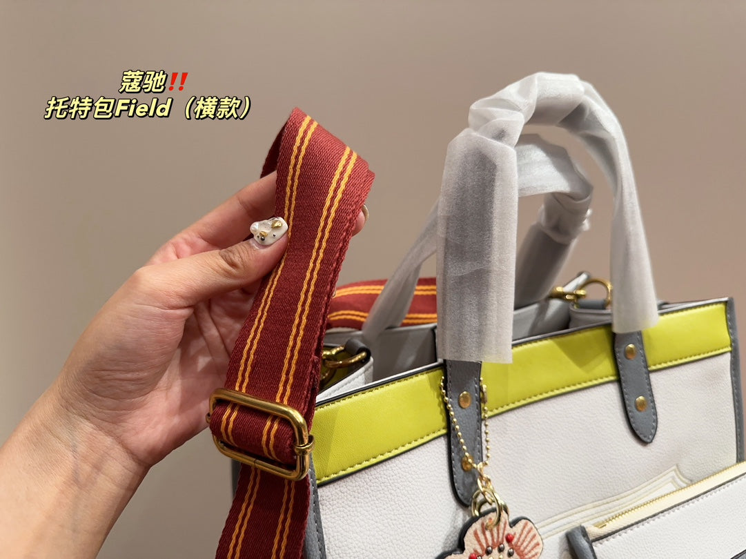 Co-BAG253