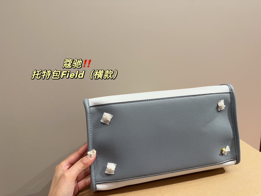 Co-BAG253
