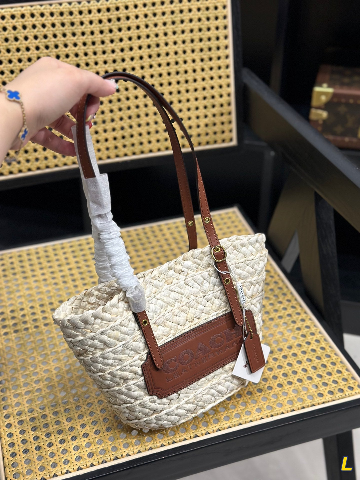 Co-BAG254