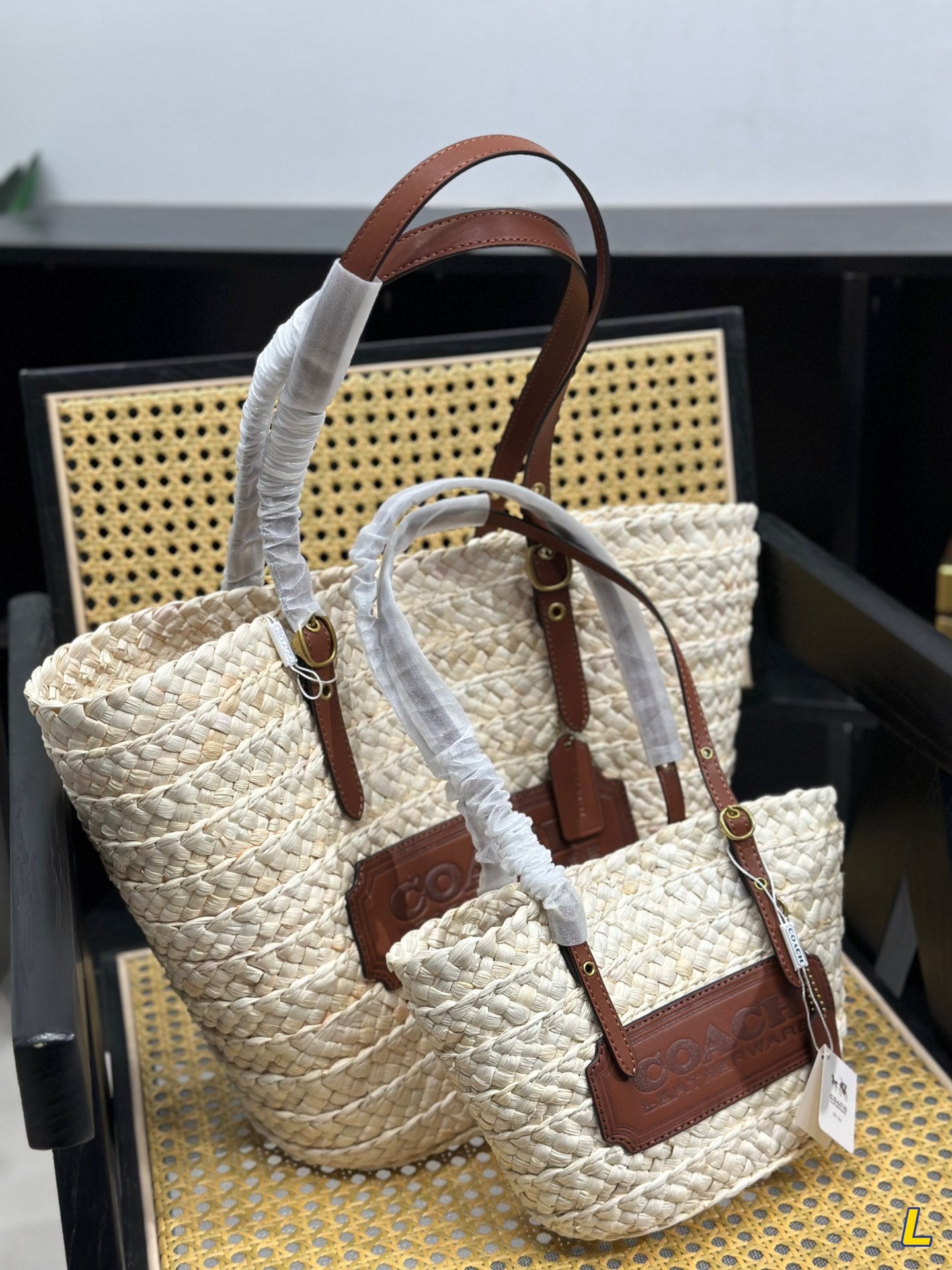 Co-BAG254
