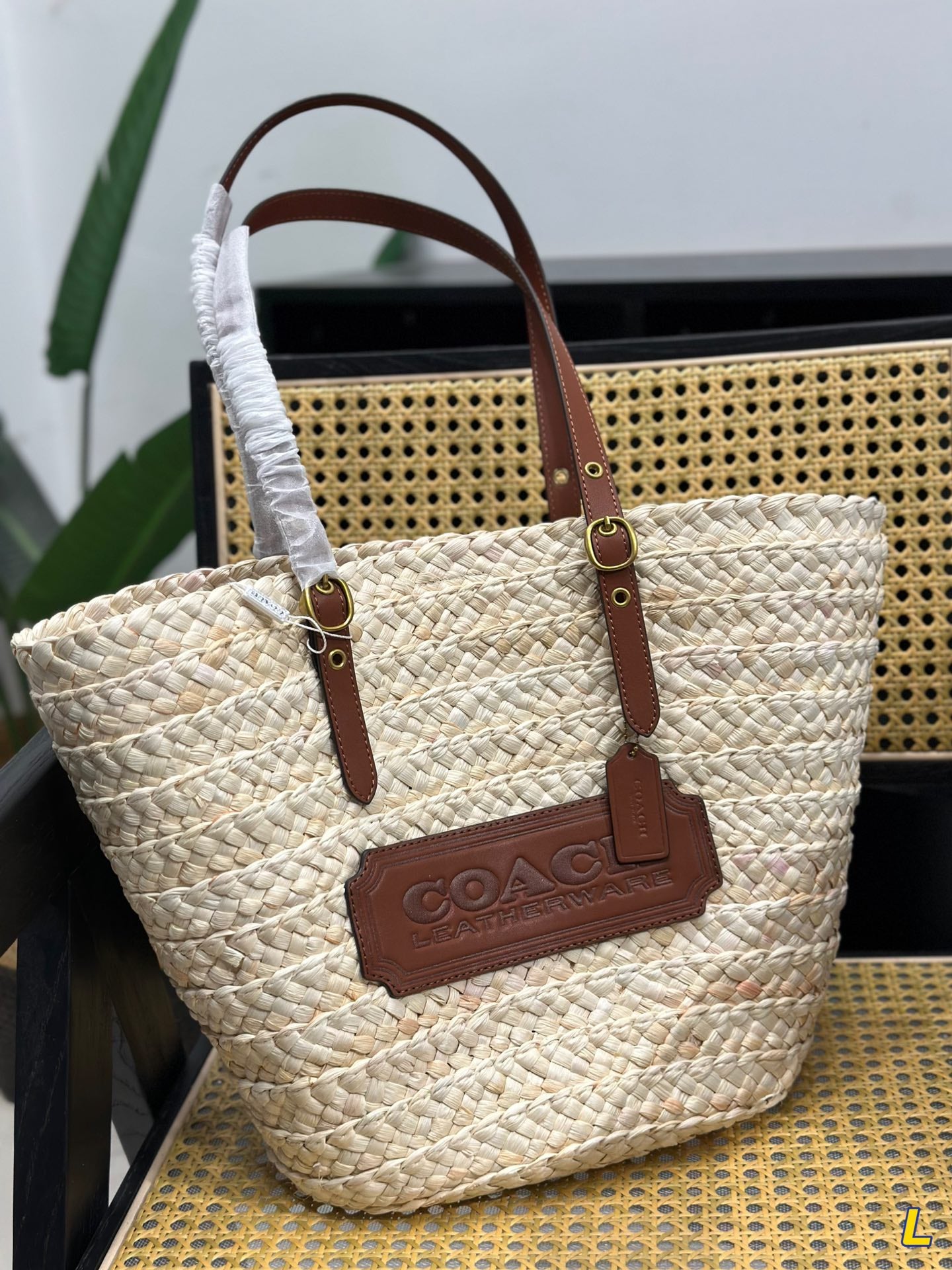 Co-BAG254