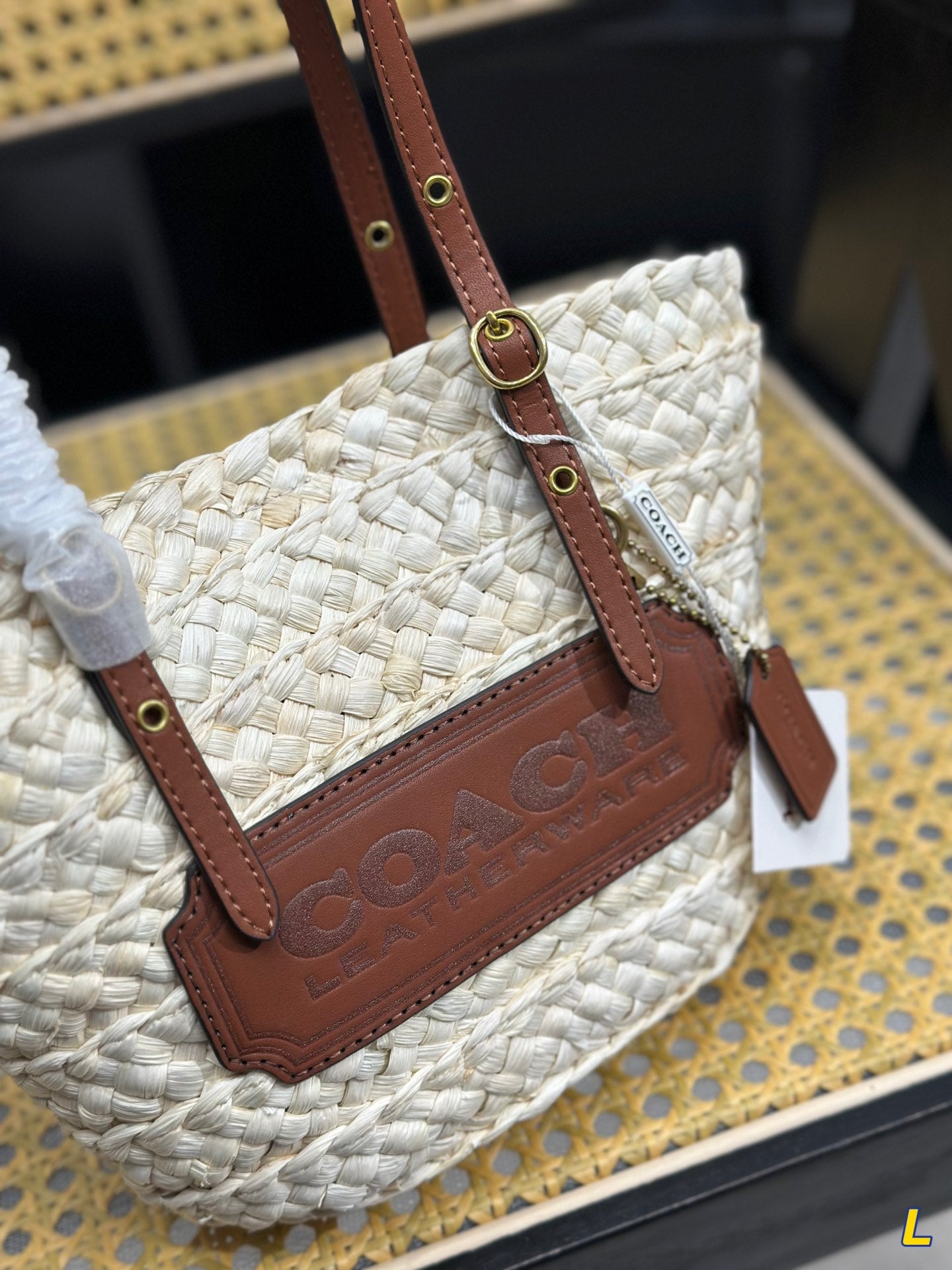 Co-BAG254