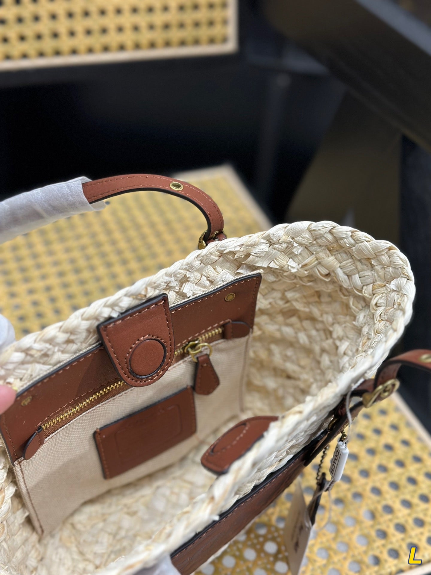 Co-BAG254